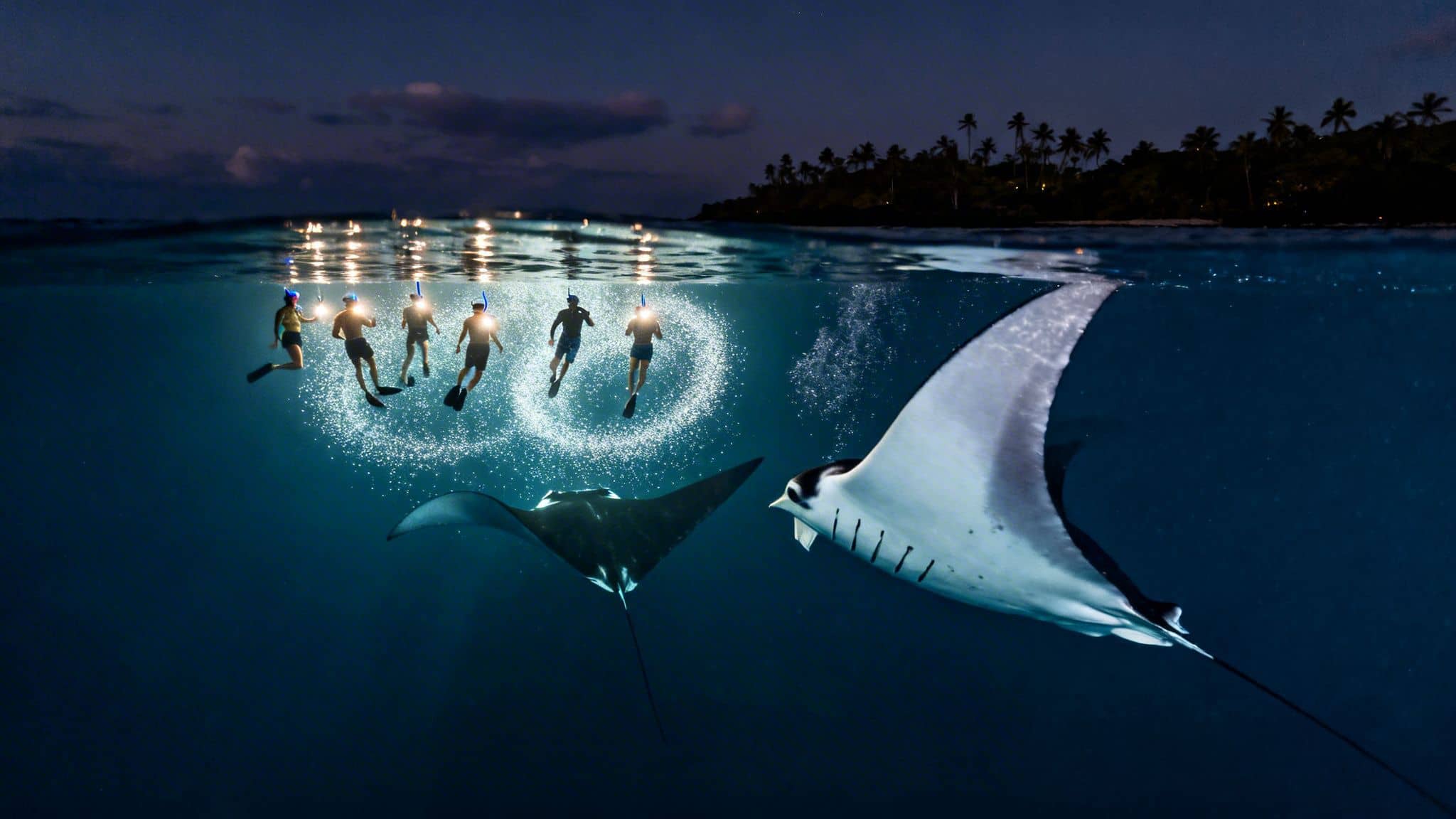 Five snorkelers with lights observe majestic manta rays under a starlit sky near an island.