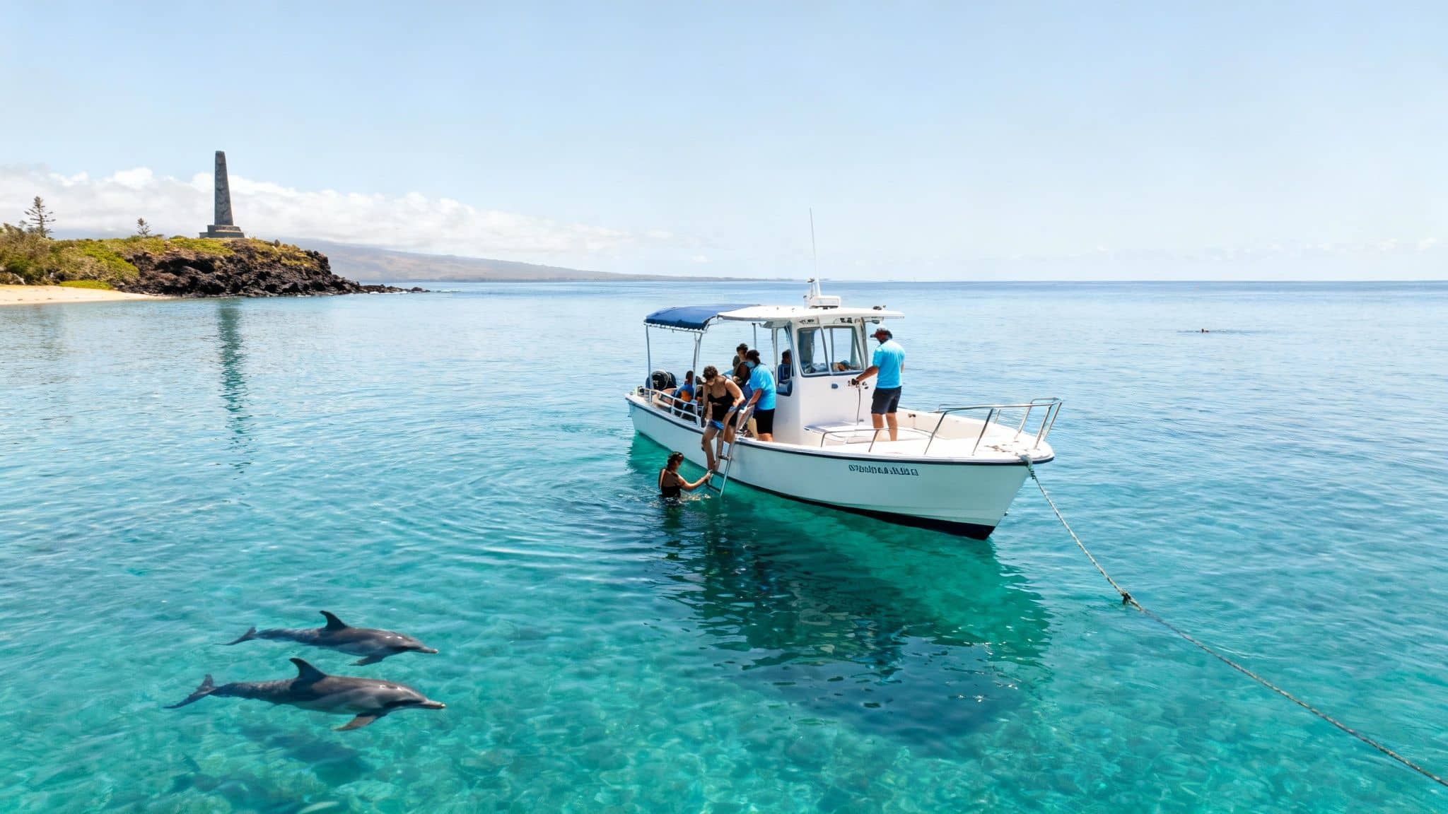 Dolphins swim near a boat with snorkelers, with a monument visible on the coast.