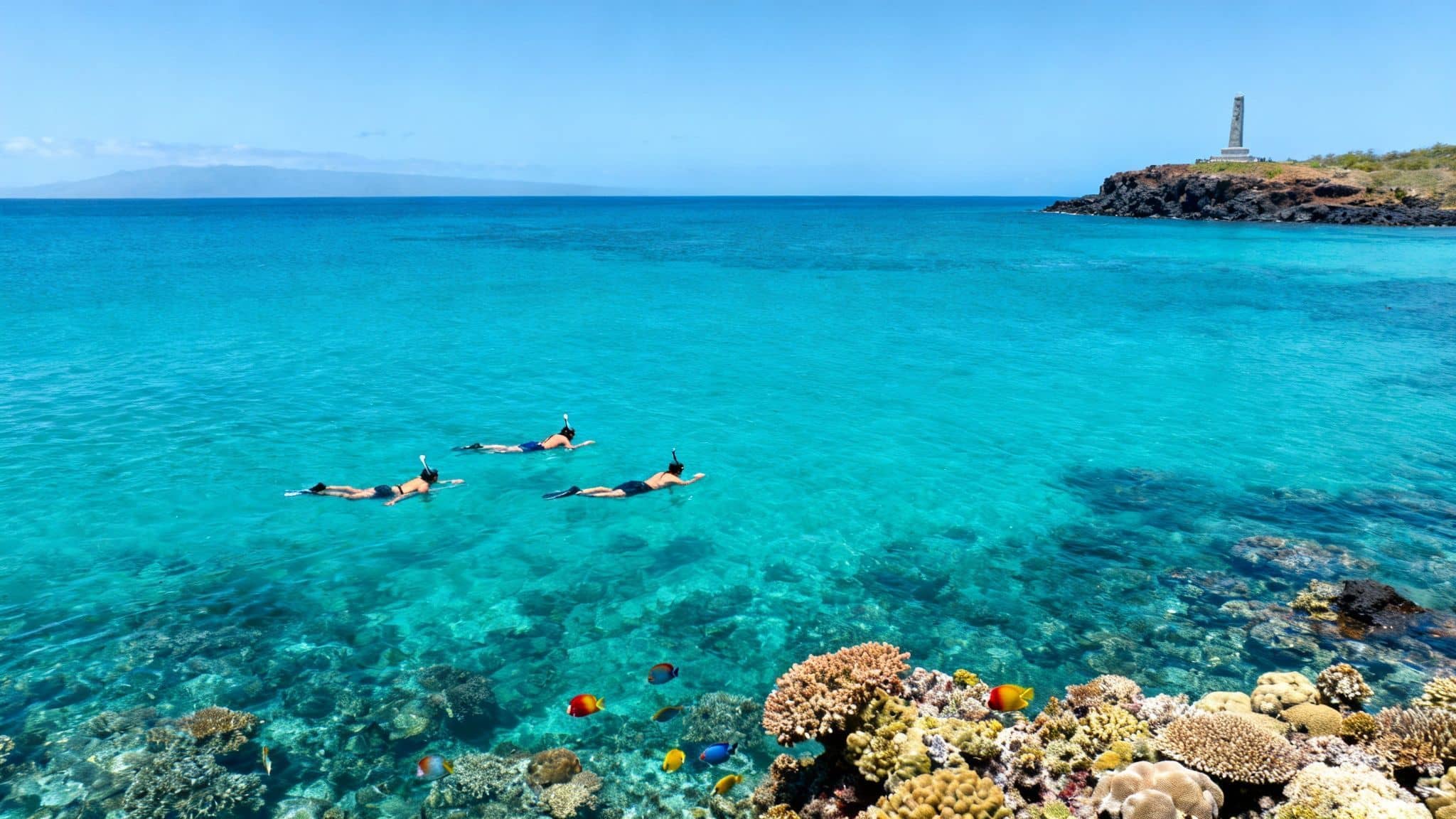 Three snorkelers explore a vibrant coral reef in clear blue tropical waters near Captain Cook's monument.