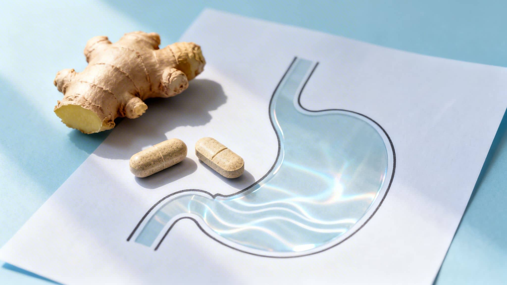 Ginger root and two pills on a stomach diagram, illustrating natural digestive health remedies.