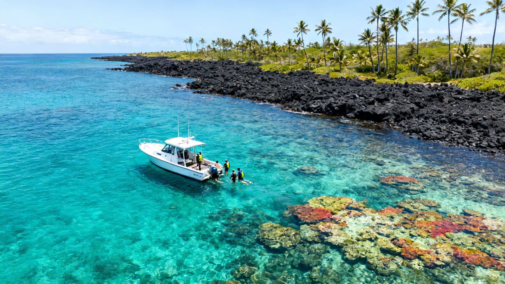 Aerial view of a boat with snorkelers in clear turquoise water near a volcanic coast and palm trees.