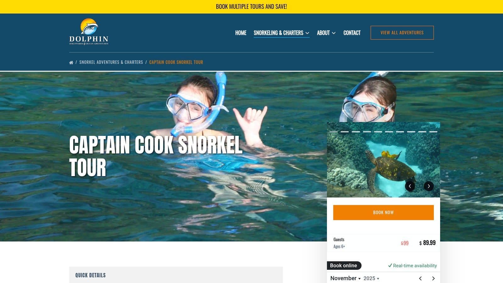 Dolphin Discoveries