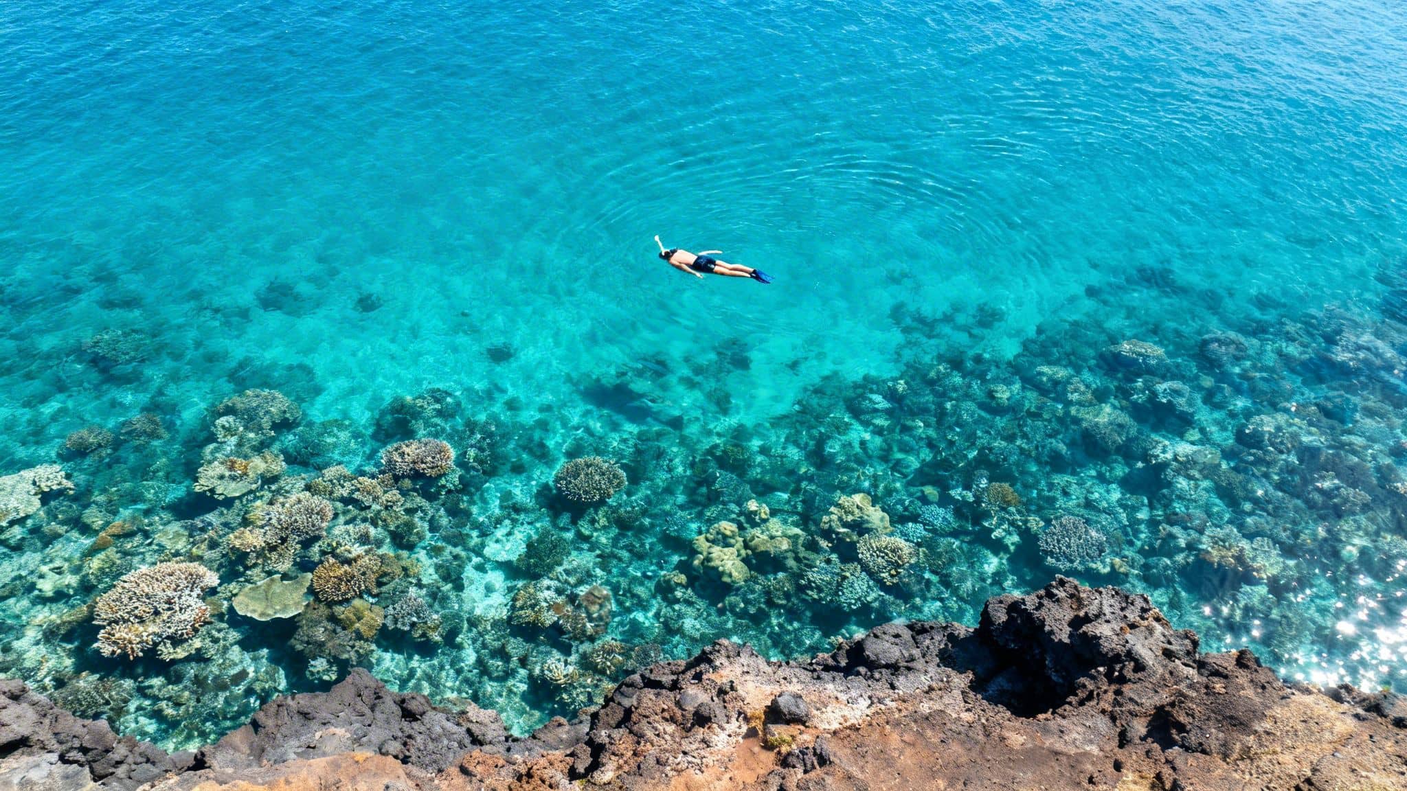 A high-angle view of a person snorkeling in clear turquoise water over a coral reef near a rocky coastline.