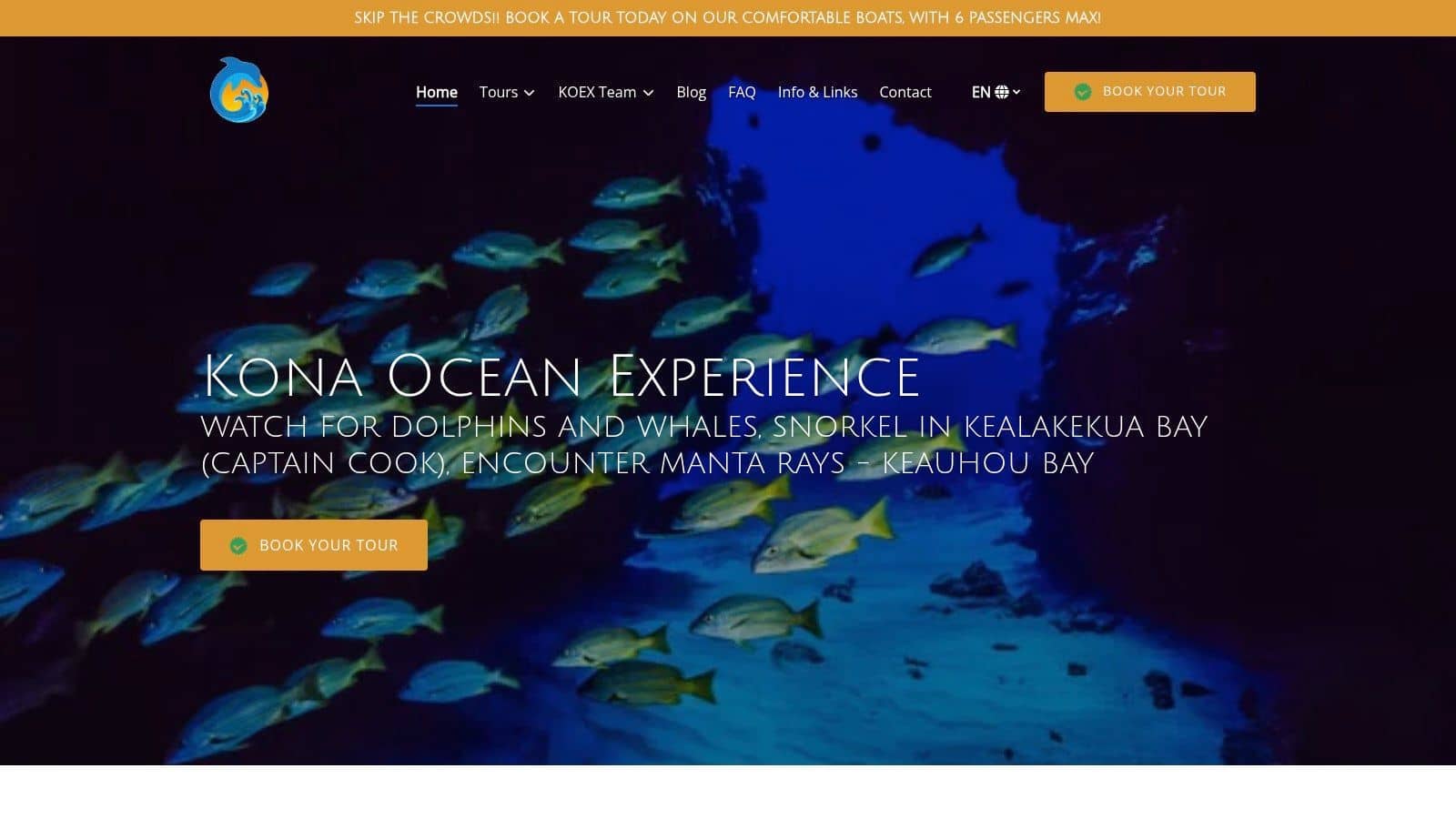 Kona Ocean Experience
