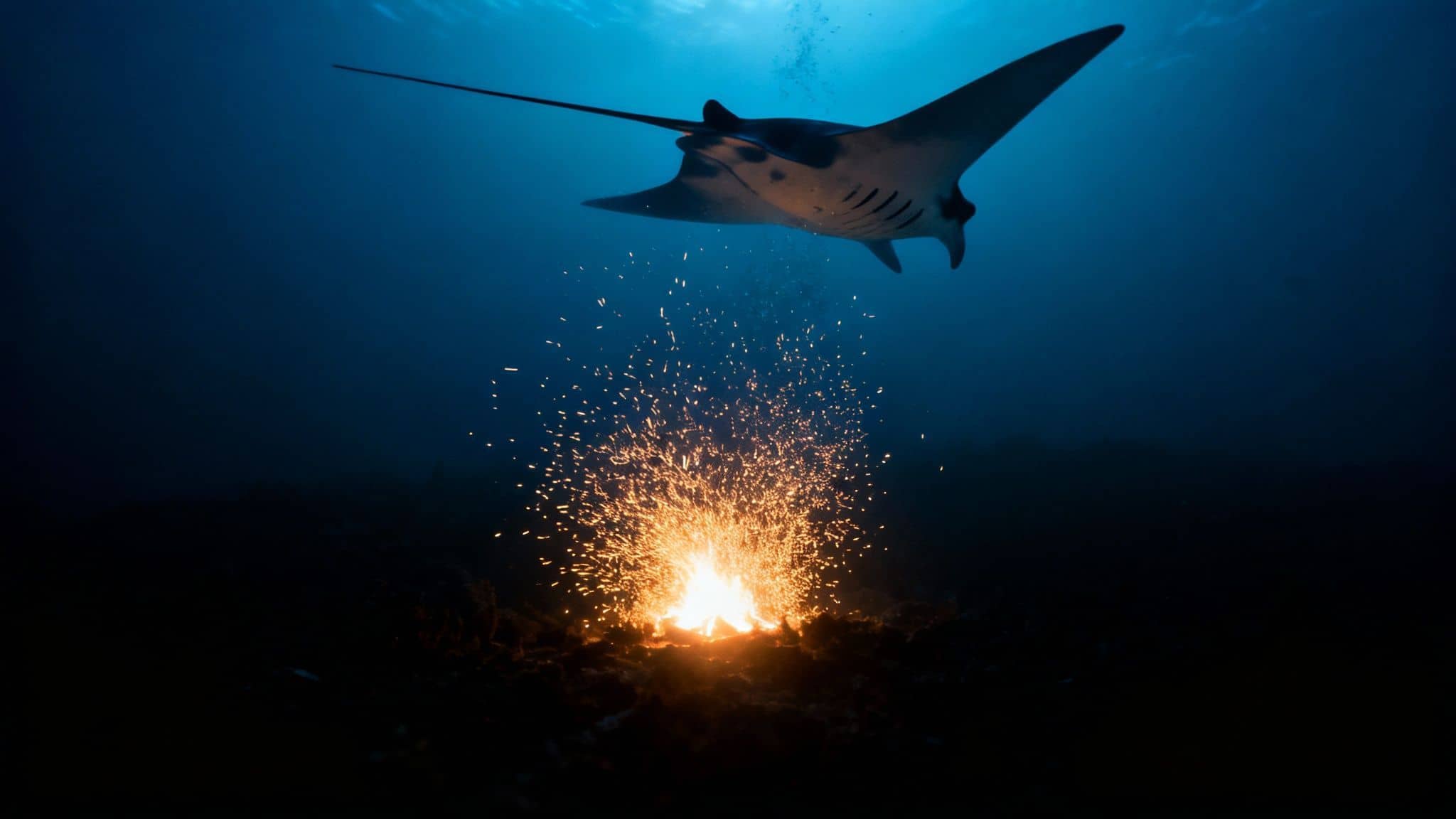 A majestic manta ray gracefully glides above a vibrant, sparkling light source on the dark ocean floor.