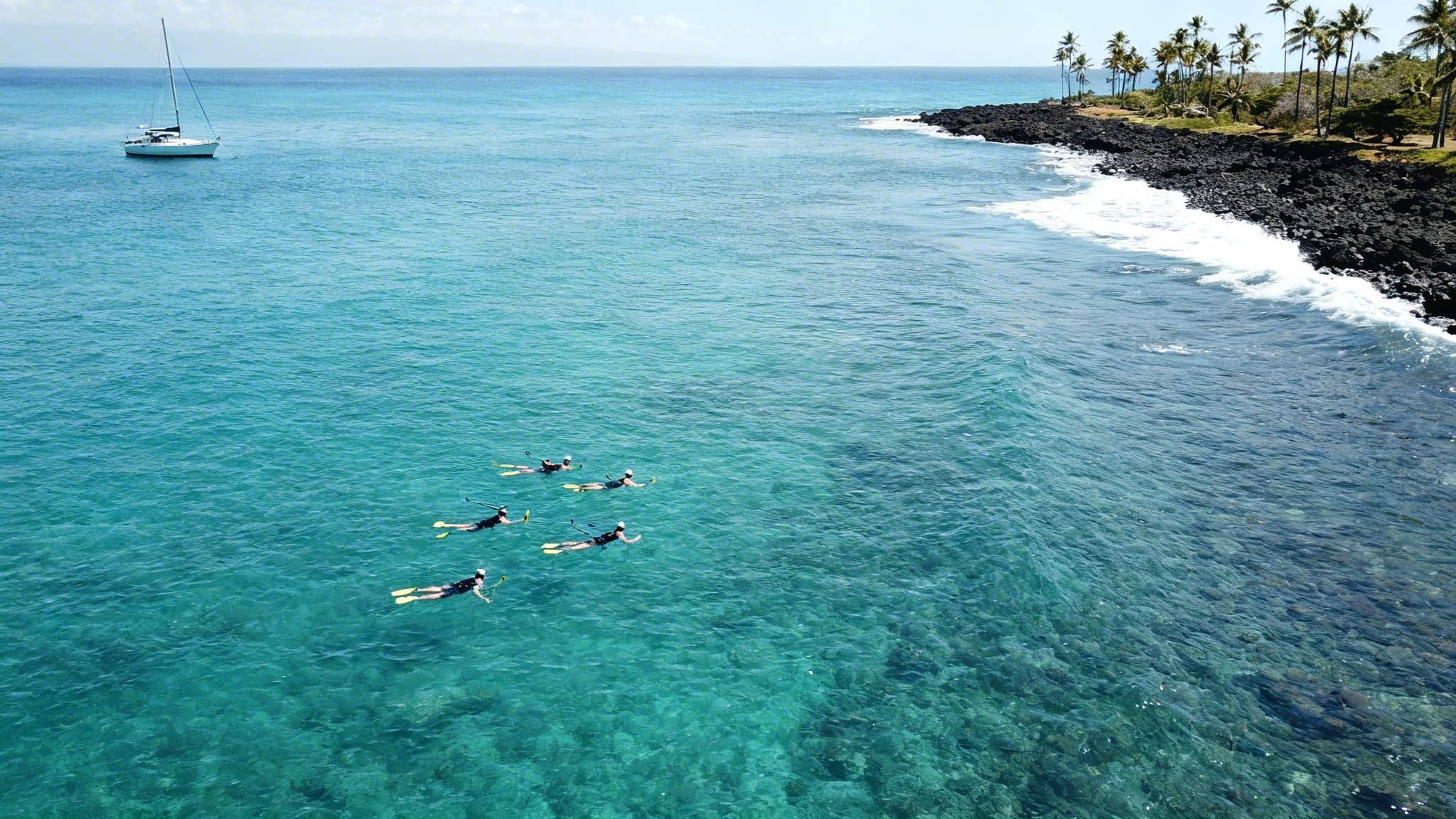 Aerial view of people snorkeling in clear blue ocean with a sailboat and palm-lined rocky coast.