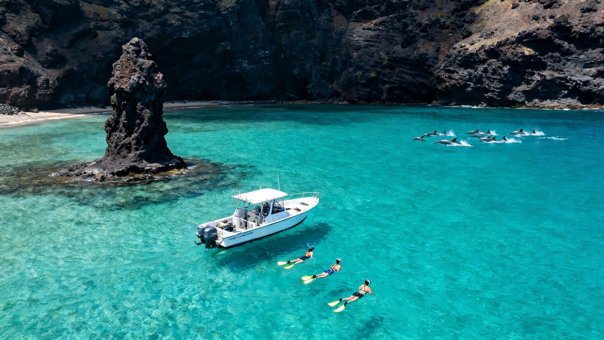 Snorkelers near a boat observe a pod of dolphins swimming in clear turquoise water by a rocky bay.
