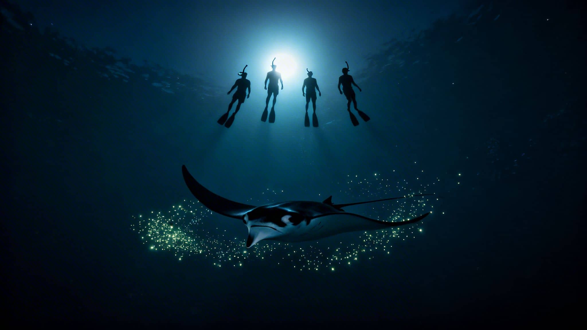 Four snorkelers silhouette above a majestic manta ray surrounded by bioluminescence in dark ocean water.