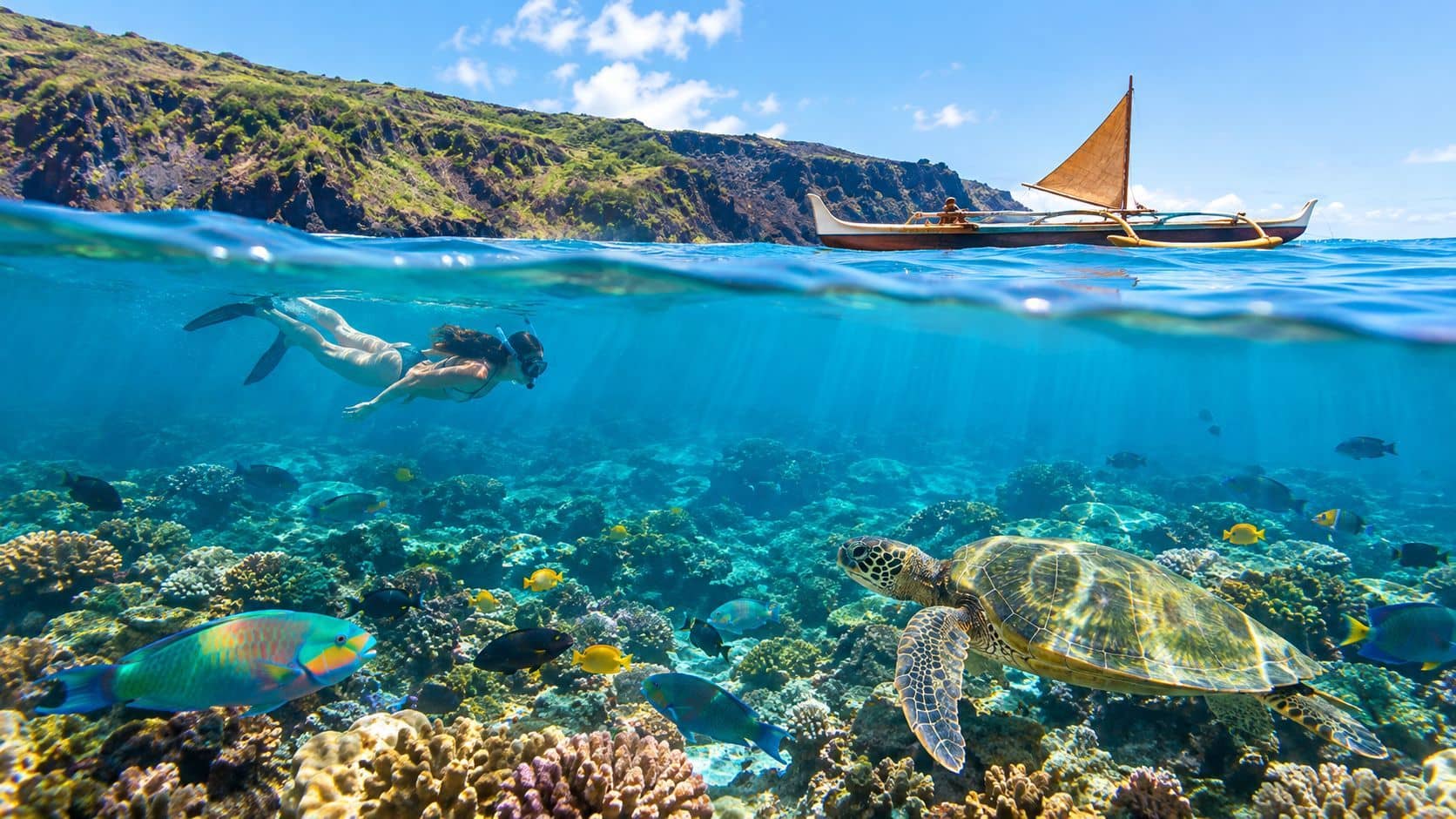 Big Island Captain Cook Snorkeling: The Complete Kona Guide