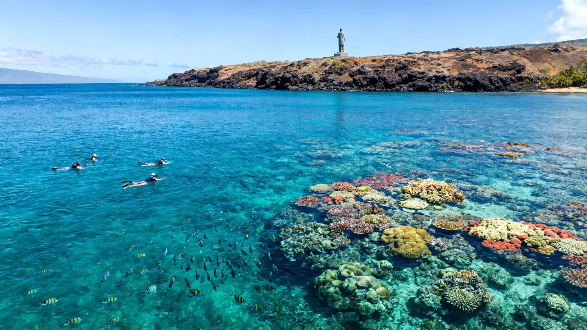 Snorkelers explore a vibrant coral reef teeming with fish in clear blue tropical waters.