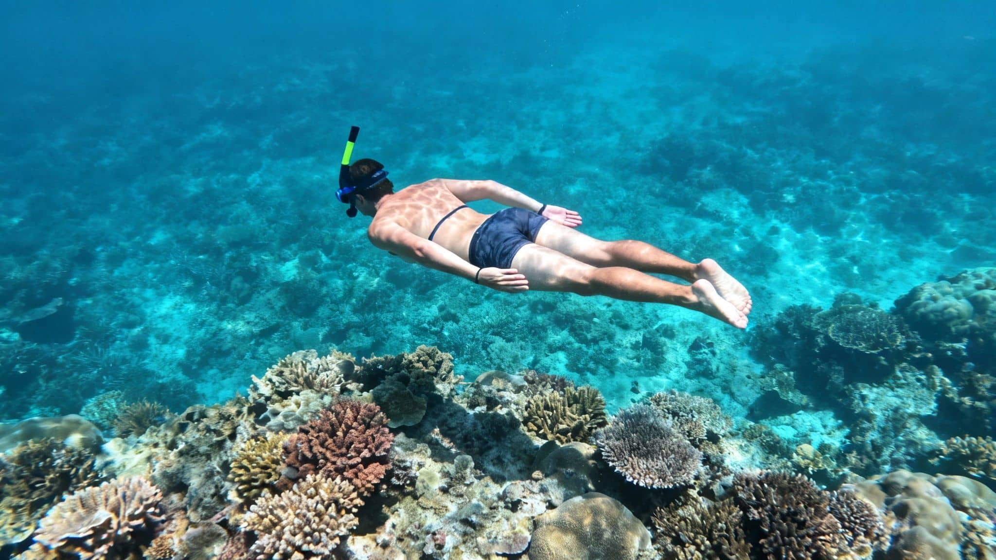 A person snorkeling over a vibrant coral reef in clear turquoise ocean water.