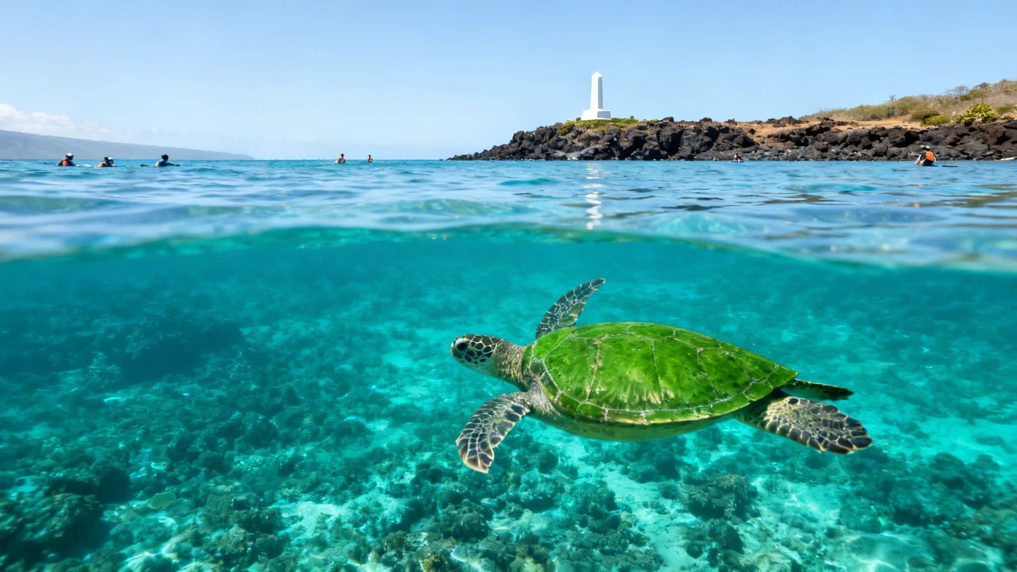 A green sea turtle swims in clear turquoise water below, with snorkelers and a lighthouse above.