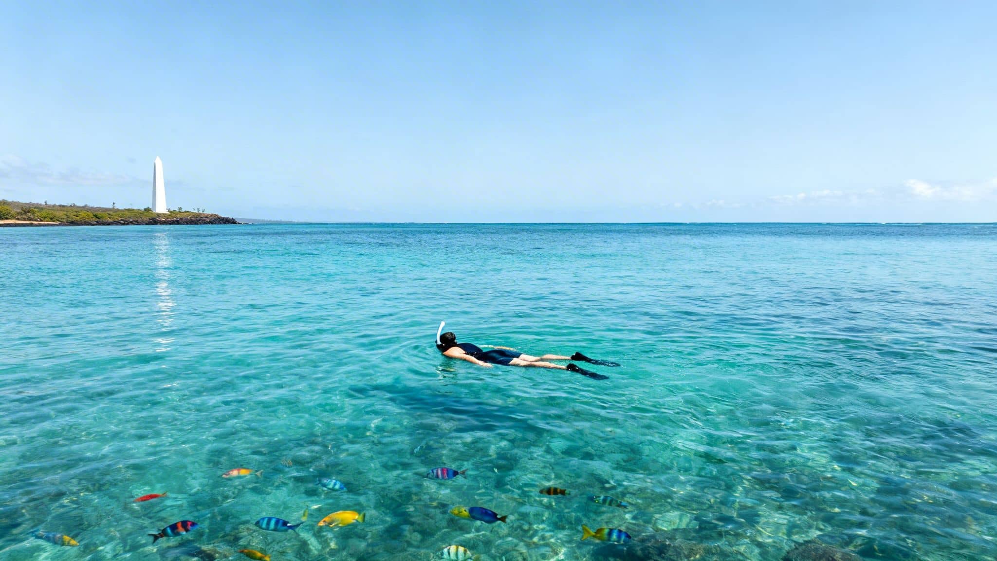 A person snorkels in crystal clear ocean water surrounded by colorful fish, with a lighthouse on the distant shore.