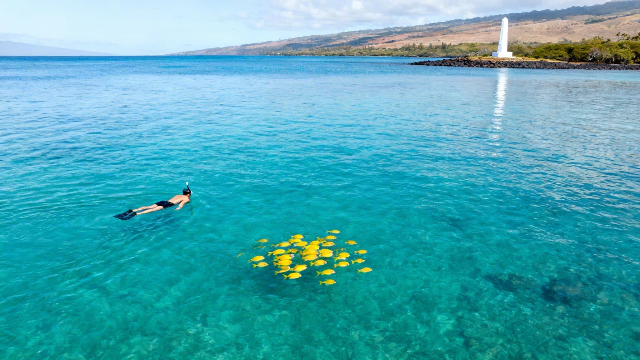 A person snorkeling in clear blue water, observing a school of yellow fish near a white monument on a distant shore.