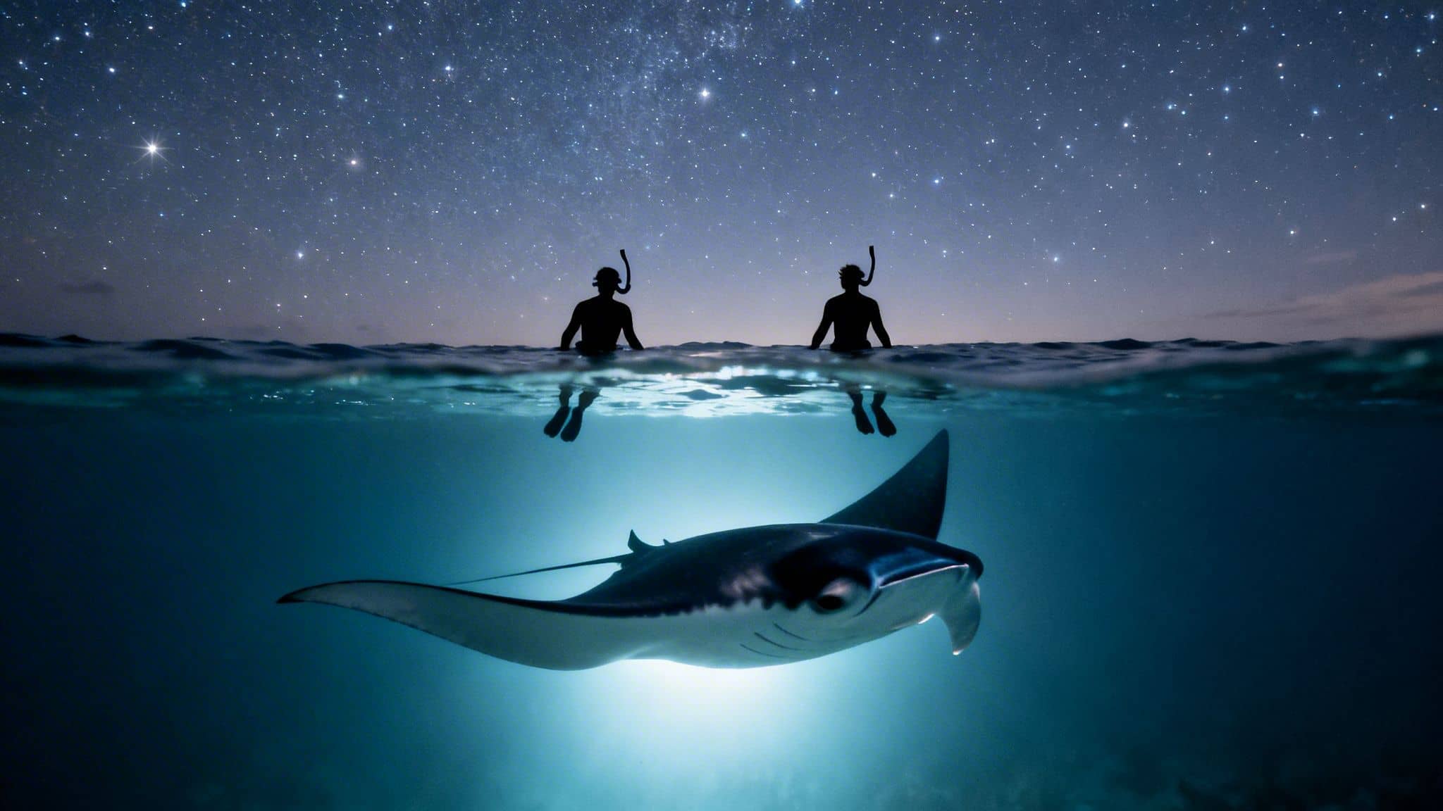 Two snorkelers watch a majestic manta ray swim beneath a beautiful starry night sky.