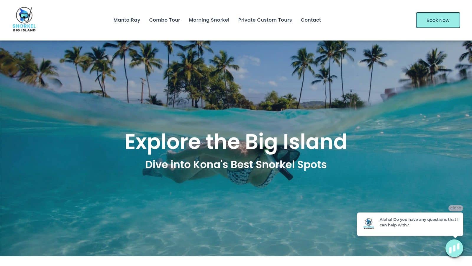 Snorkel Big Island