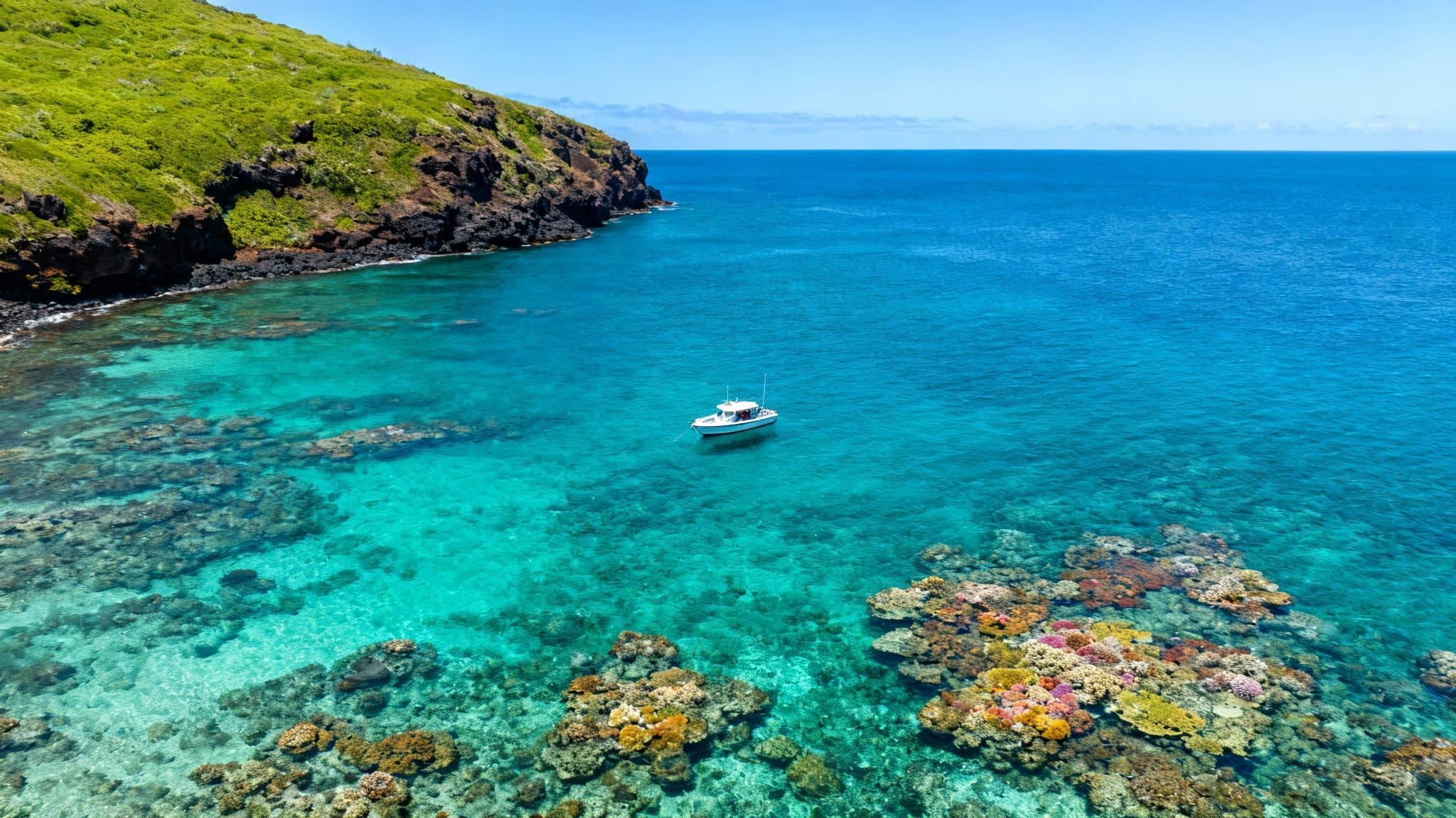 An aerial view of a white boat anchored above a colorful coral reef in clear turquoise water beside a green island.