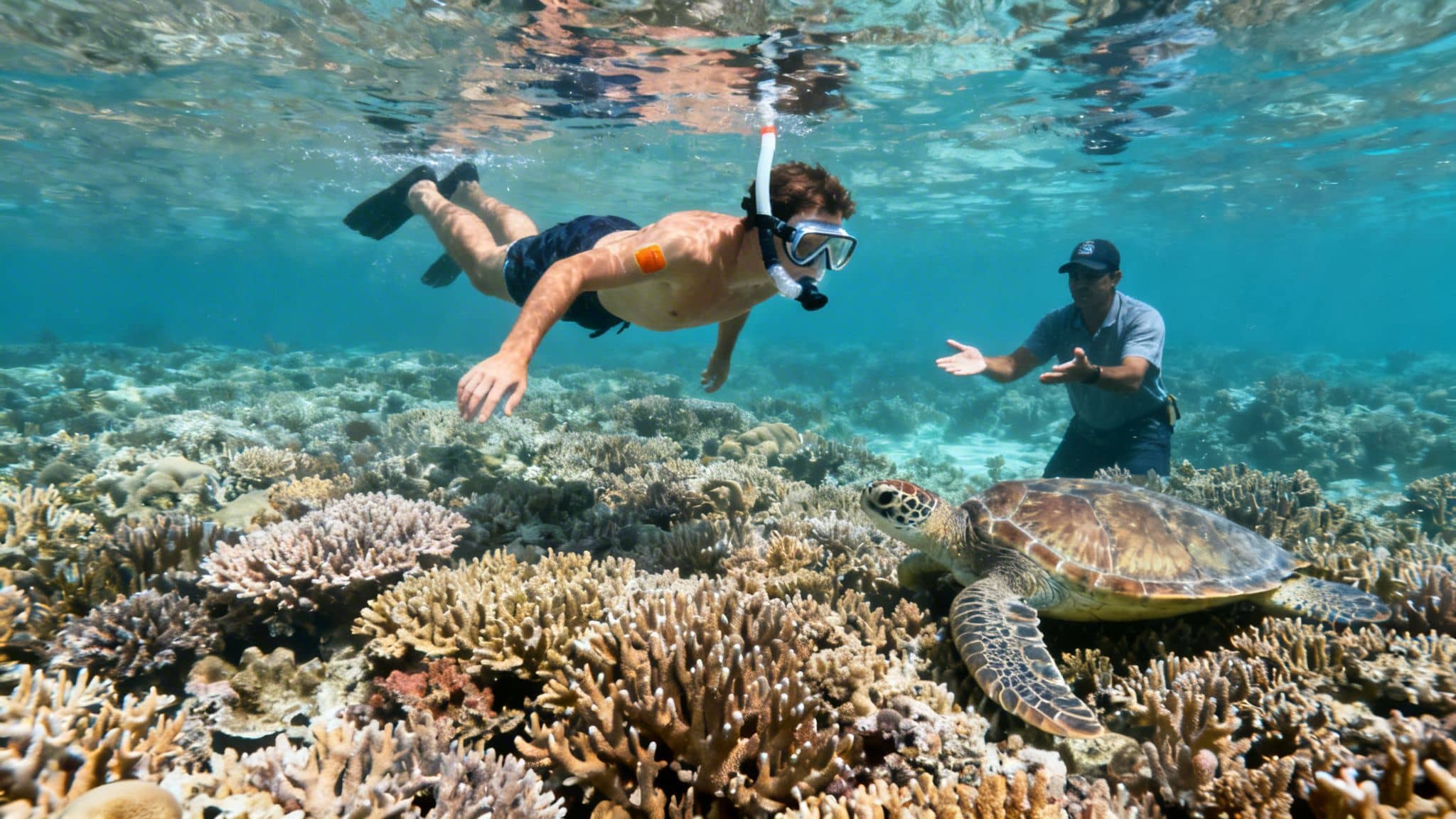 A person snorkels near a sea turtle and a guide over a vibrant coral reef.
