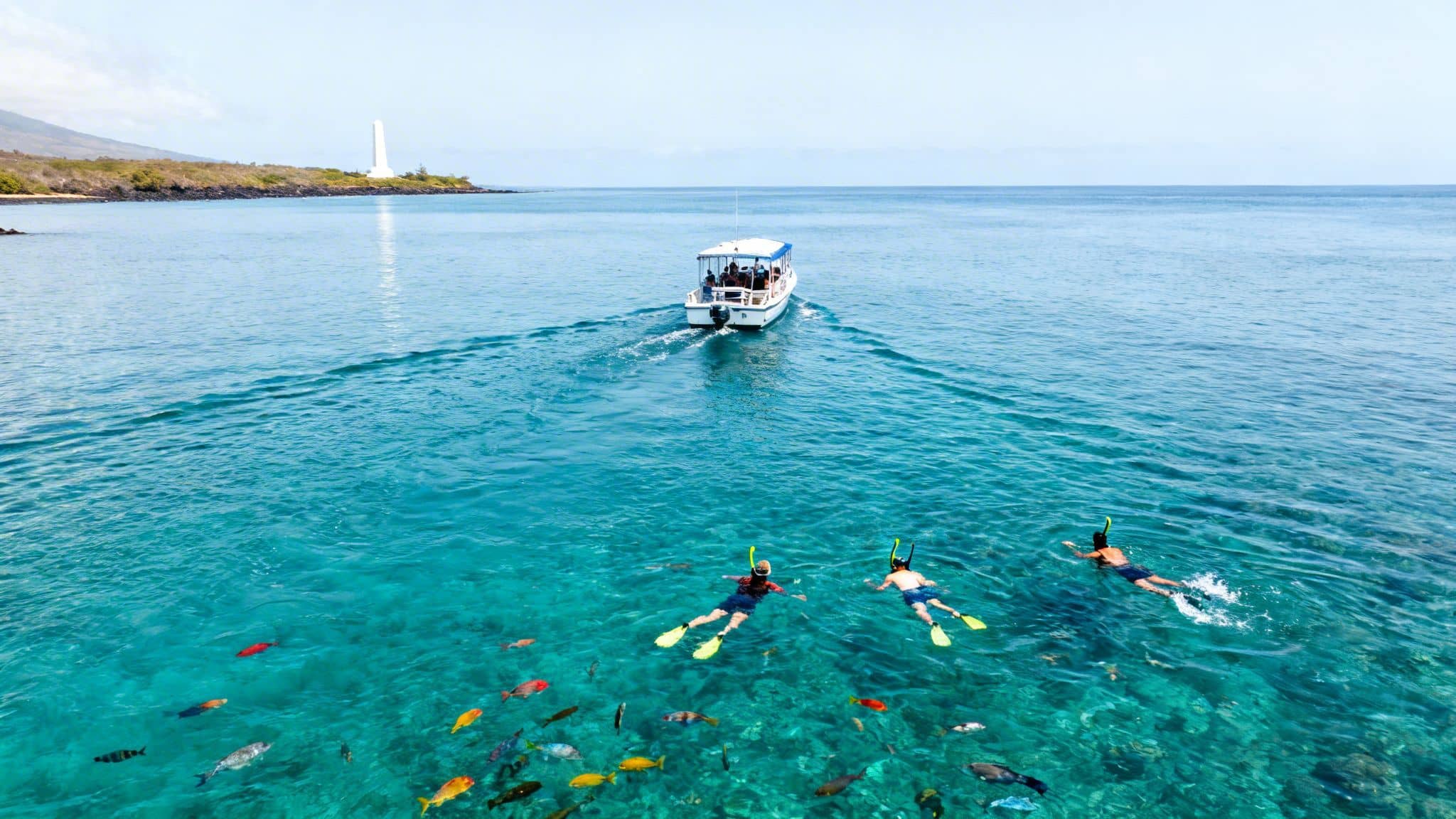 Snorkelers enjoying clear turquoise waters with a variety of colorful tropical fish and a boat.