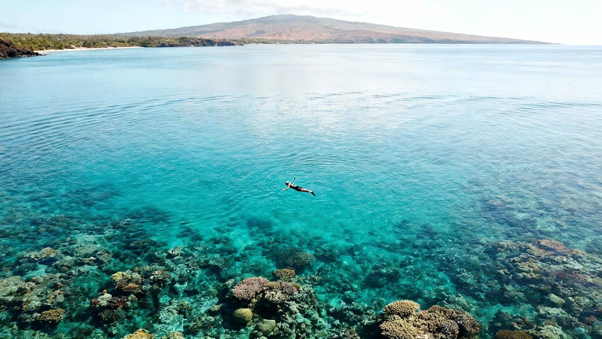 Snorkeler swims above colorful coral reefs in crystal clear turquoise water near a tropical island.
